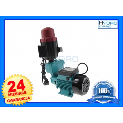 Pompa WZ 250 OMNIGENA z BRIO SK-13 (230V)